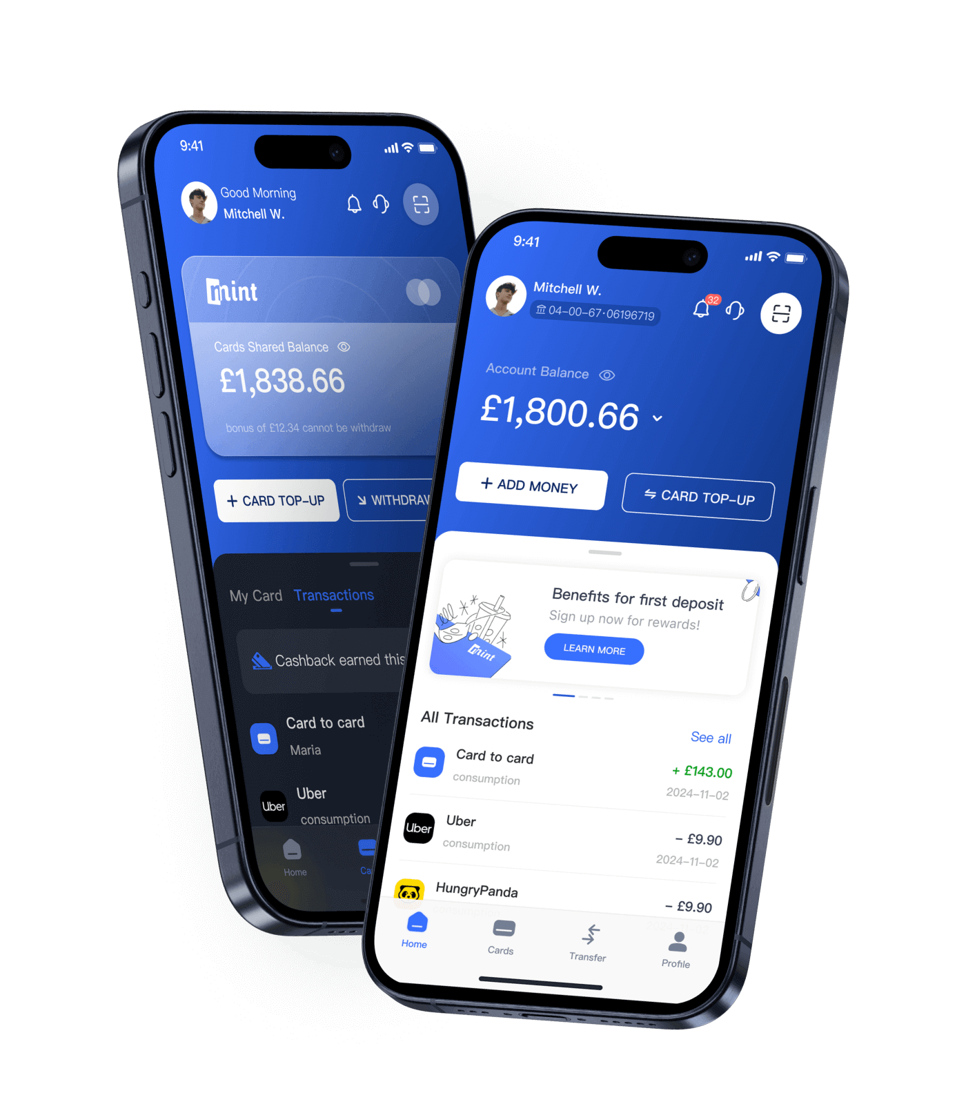 Mint App Interface